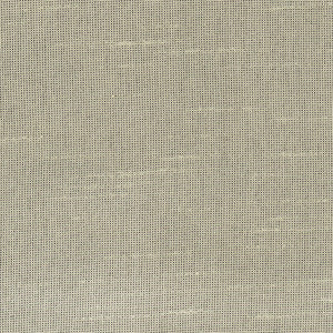 Fleeting Sand by Carole Fabric
