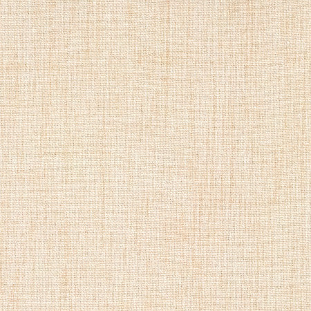 Gusto Oatmeal by Carole Fabric Power Play 100% Polyester N/A None 55" - Fabric Carolina -