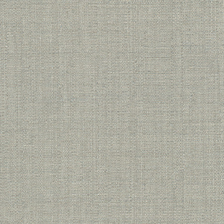 Cortland Dove by Carole Designer Fabric Gala 100% Polyester India 30,000 WYZENBEEK DOUBLE RUBS None 54.75" - Swanky Fabrics -