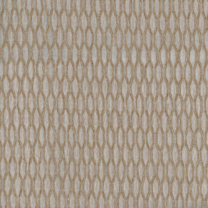 Light It Up Raffia by Carole Fabric Sheer Divine 100% Polyester Turkey N/A Horizontal: 5 and Vertical: 125 118 - Fabric Carolina -