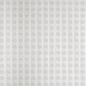 Apogee Grey by Carole Fabric
