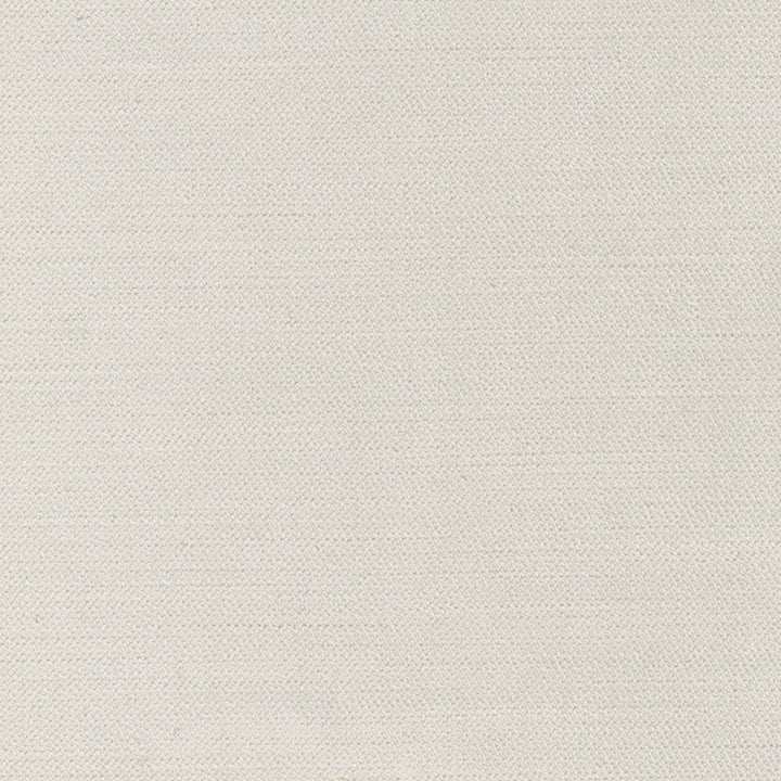 Regal Touch Silver by Carole Fabric Touch Of Luxury 100% Polyester Turkey 15,000 Wyzenbeek Double Rubs Horizontal: 0 and Vertical: 0 55 - Fabric Carolina -
