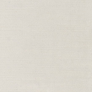 Regal Touch Silver by Carole Fabric
