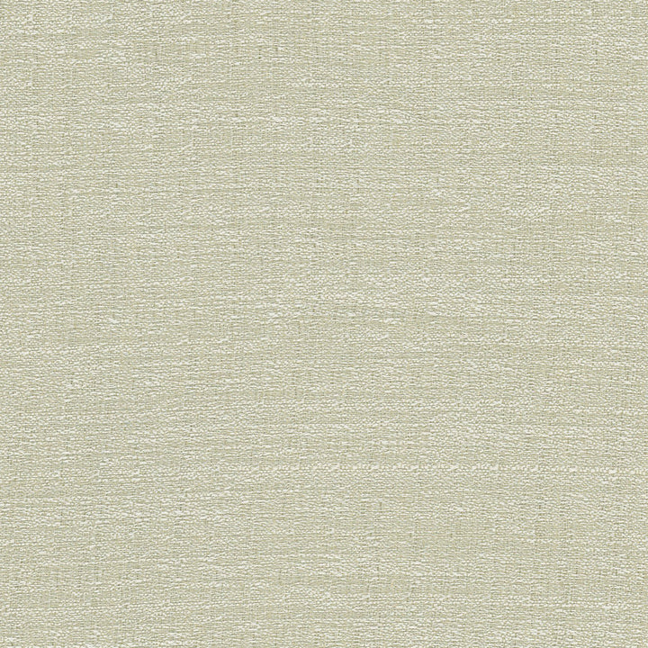 Trampoline Eucalyptus by Carole Fabric For The Window 100% Polyester Turkey N/A Horizontal: 0 and Vertical: 0 60 - Fabric Carolina -