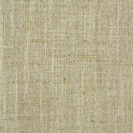 Consultant Aloe by Carole Fabric Laguna 100% Polyester INDIA N/A None 54"  - Fabric Carolina -