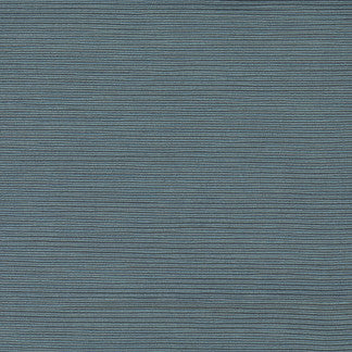 First Novel Cerulean by Carole Fabric STATIONERY 72% Rayon, 28% Polyester China Passes 30,000 Double Rubs Wyzenbeek Horizontal: None and Vertical: None 55" - Fabric Carolina -