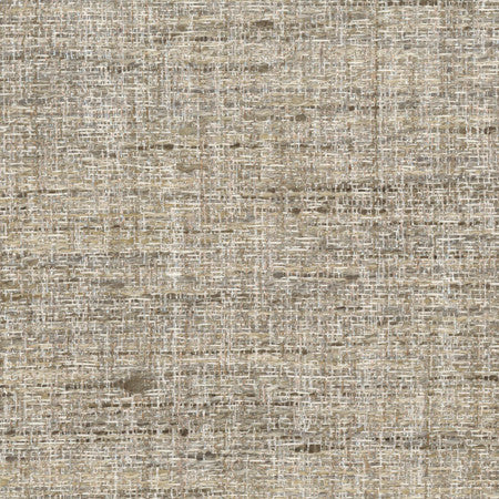 Pop Fly Latte by Carole Fabric Texture Theory,Let's Mingle 100% Polyester India  None 57"  - Fabric Carolina -
