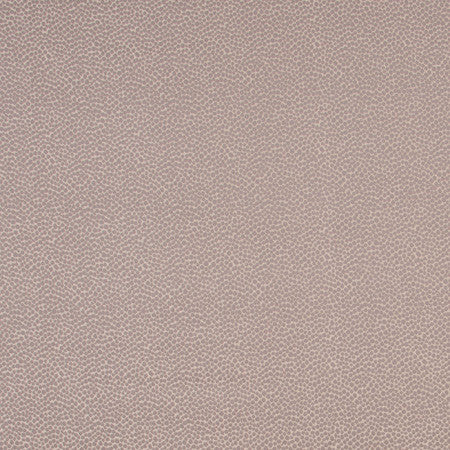 Armadillo Mineral by Carole Fabric Jungle Safari 100% Polyester India N/A None 54"  - Fabric Carolina -