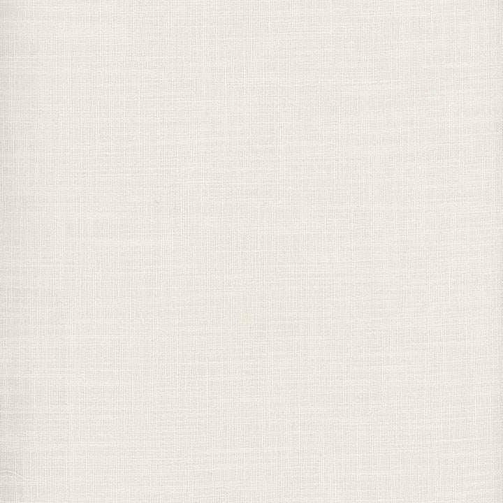 Fundamental Ivory by Carole Fabric Fundamental 100% Polyester Turkey Passes 20,000 Double Rubs Wyzenbeek Horizontal: 0 and Vertical: 0 54 - Fabric Carolina -