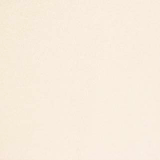 Early Frost Ivory by Carole Designer Fabric Pure & Simple 100% POLYESTER TURKEY N/A Horizontal: None and Vertical: NONE 118" - Swanky Fabrics -