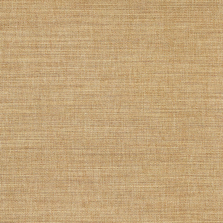 Boardroom Straw by Carole Fabric Power Play 100% IFR Hybrid Polyester 25,000 Wyzenbeek Double Rubs None 54" - Fabric Carolina -