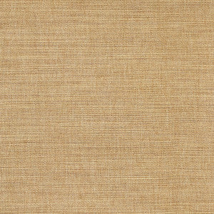 Boardroom Straw by Carole Fabric