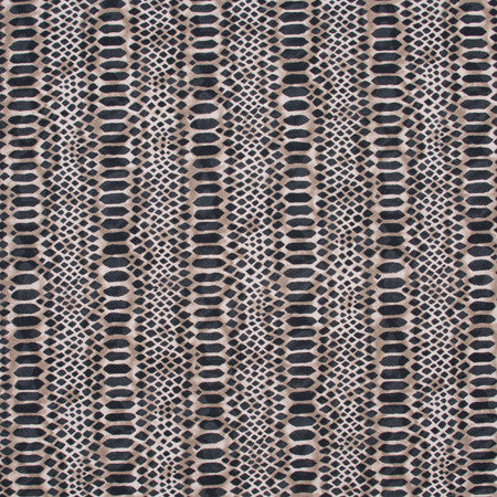Constrictor Noir by Carole Fabric Jungle Safari 100% Cotton Spain Passes 16,000 Circular Rubs Martindale Horizontal: 27" and Vertical: 25" V 54" - Fabric Carolina -