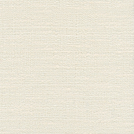No Problem Natural by Carole Designer Fabric Alliance 81% Polyester, 19% Cotton Turkey None 60"" - Swanky Fabrics -