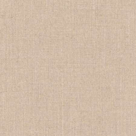 Grateful Pebble by Carole Designer Fabric Grateful 70% Viscose, 30% Linen India None 55.5" - Swanky Fabrics -
