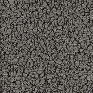 Time Crunch Smoke by Carole Fabric