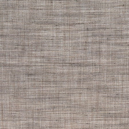 Prodigy Driftwood by Carole Designer Fabric Best Dressed 100% Polyester 30,000 Wyzenbeek Double Rubs None 55" - Swanky Fabrics -