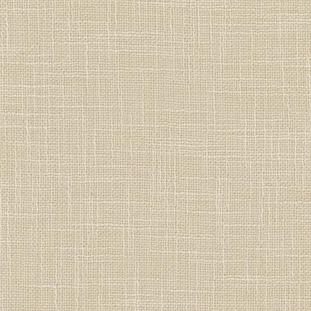 As Always Linen by Carole Designer Fabric See It Through 100% Polyester Turkey N/A None 55.5" - Swanky Fabrics -