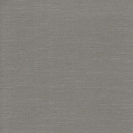 Optimism Aluminium by Carole Designer Fabric Synchrony 100% IFR Polyester India 5,000 Wyzenbeek Double Rubs None 54" - Swanky Fabrics -
