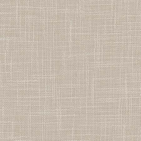 As Always Platinum by Carole Fabric See It Through 100% Polyester Turkey N/A None 55.5"  - Fabric Carolina -