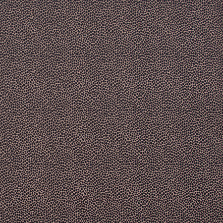 Armadillo Panther by Carole Fabric Jungle Safari 100% Polyester India N/A </p><p>Repeat: None 54" - Fabric Carolina -