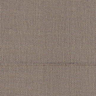Succulent Mink by Carole Fabric Succulent II 100% Polyester India N/A Horizontal: None and Vertical: None 54" - Fabric Carolina -