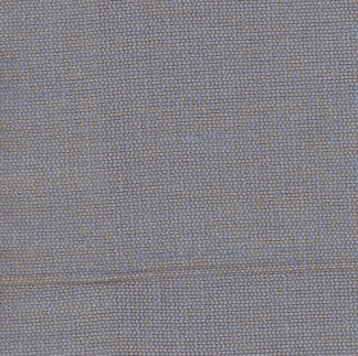 Succulent Celestial by Carole Fabric Succulent II 100% Polyester India N/A </p><p>Repeat: None 54" - Fabric Carolina -