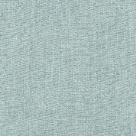 Athlete Surf by Carole Fabric Celadon 60% Cotton, 40% Polyester India Passes 50,000 Double Rubs Wyzenbeek Horizontal: None and Vertical: None 55" - Fabric Carolina -