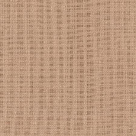 Narration Blush by Carole Fabric NARRATOR 100% Polyester Mexico Passes 30,000 Double Rubs Wyzenbeek Horizontal: None and Vertical: None 54" - Fabric Carolina -