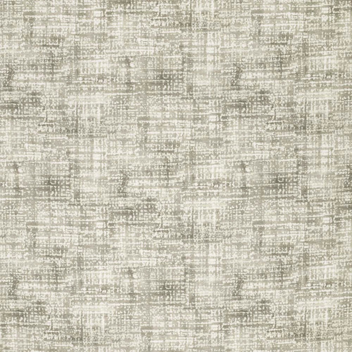 Consider This Sisal by Carole Fabric Weathered Neutrals 100% Cotton Duck Turkmenistan Passes 15,000 Double Rubs Wyzenbeek Horizontal: 27 and Vertical: 25 54 - Fabric Carolina -