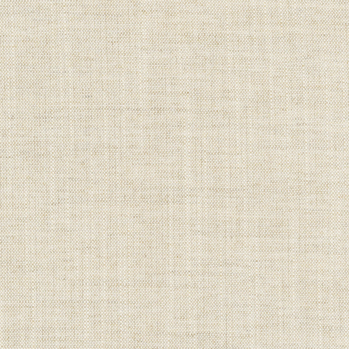 Aerial Flax by Carole Fabric Opal 100% Polyester India Passes 50,000 Double Rubs Wyzenbeek Horizontal: 0 and Vertical: 0 56 - Fabric Carolina -