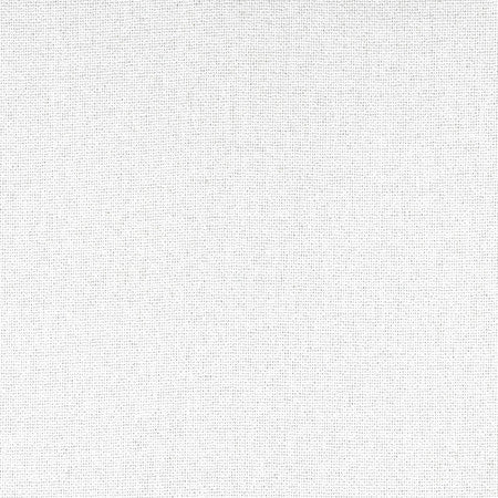 Gusto Crystal by Carole Designer Fabric Power Play 100% Polyester N/A None 55" - Swanky Fabrics -