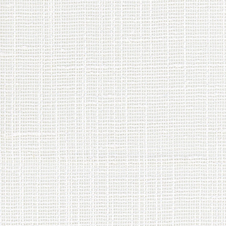 Slow Down Coconut by Carole Fabric COME HOME,See It Through,In The Open 100% Polyester N/A None 54" - Fabric Carolina -