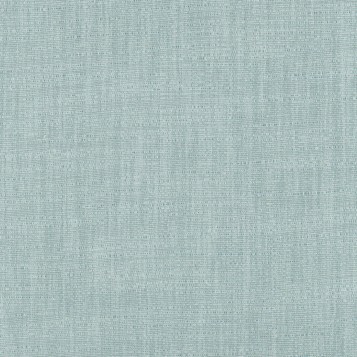Athlete Surf by Carole Fabric Celadon 60% Cotton, 40% Polyester India Passes 50,000 Double Rubs Wyzenbeek Horizontal: 0 and Vertical: 0 55 - Fabric Carolina -