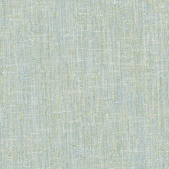Hard Knocks Aqua by Carole Fabric Celadon 69% Polyester, 31% Cotton India Passes 30,000 Double Rubs Wyzenbeek Horizontal: 0 and Vertical: 0 555 - Fabric Carolina -