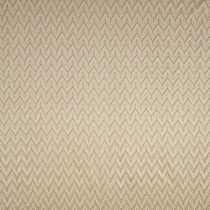 This Way Champagne by Carole Fabric
