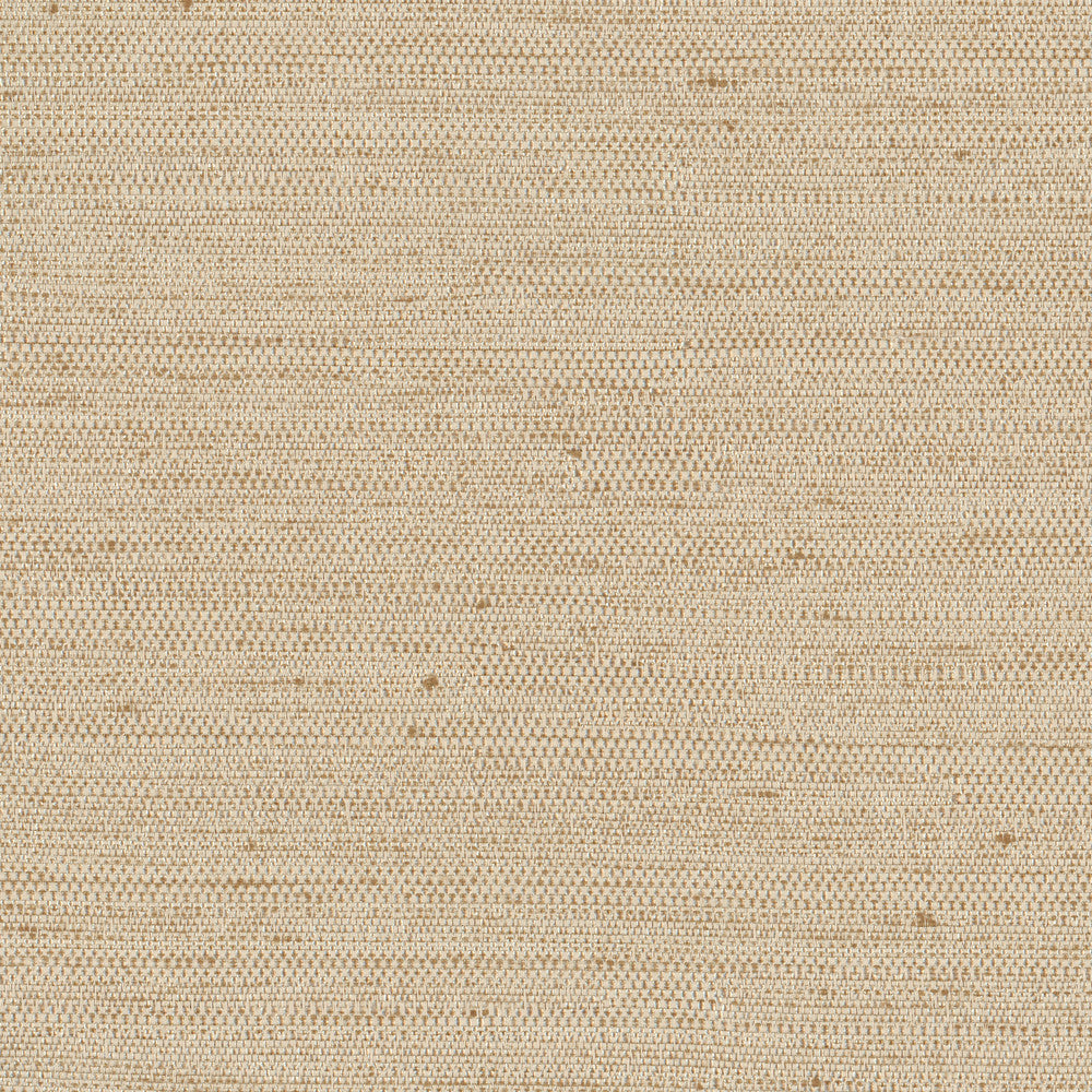 Aiden Natural by Carole Fabric Opal 100% Polyester India N/A Horizontal: 0 and Vertical: 0 54 - Fabric Carolina -