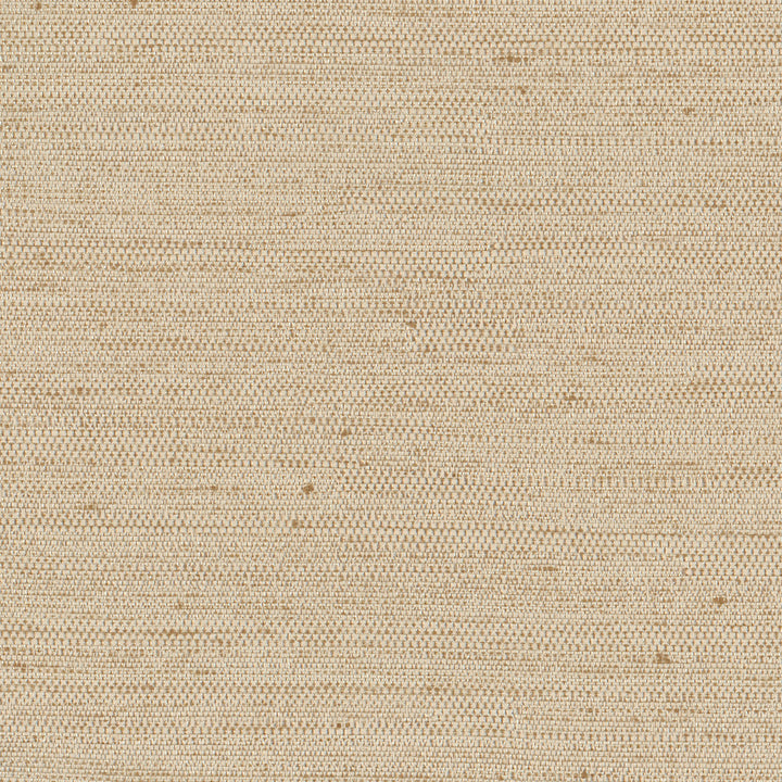 Aiden Natural by Carole Fabric Opal 100% Polyester India N/A Horizontal: 0 and Vertical: 0 54 - Fabric Carolina -