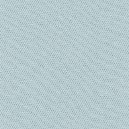Reminder Mist by Carole Fabric Cadet 100% Cotton USA Passes 18,000 Double Rubs Wyzenbeek </p><p>Repeat: None 55" - Fabric Carolina -