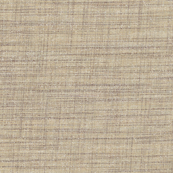 Key To Comfort Cashew by Carole Fabric For The Window 100% Polyester India N/A Horizontal: 0 and Vertical: 0 54 - Fabric Carolina -