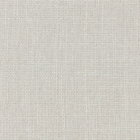 Commencement Dove by Carole Fabric Commencement 100% Polyester-SSWR, Anti-Microbial Taiwan  None 56"  - Fabric Carolina -