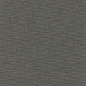 Daydreamer Graphite by Carole Fabric