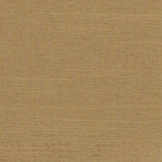 Succulent Buff by Carole Fabric Succulent,Succulent II 100% POLYESTER INDIA N/A Horizontal: 0" and Vertical: 0" 54" - Fabric Carolina -