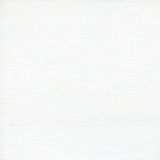 First Novel White by Carole Fabric STATIONERY 72% Rayon, 28% Polyester China Passes 30,000 Double Rubs Wyzenbeek </p><p>Repeat: None 55" - Fabric Carolina -