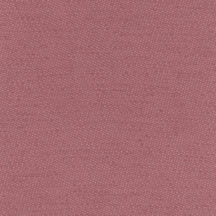Fact Finder Plum by Carole Fabric Scarlet 100% Polyester Turkey Passes 40,000 Double Rubs Wyzenbeek Horizontal: 0 and Vertical: 0 59 - Fabric Carolina -
