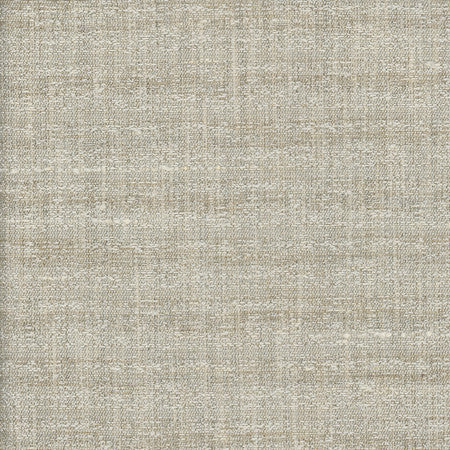 Join Me Silver by Carole Fabric Alliance 100% Polyester India  None 54""  - Fabric Carolina -