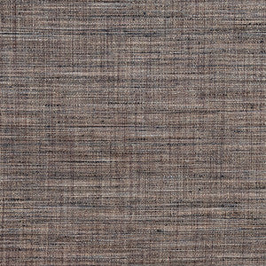 Prodigy River Rock by Carole Fabric