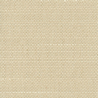 Air Time Manilla by Carole Fabric Sensibility 100% Polyester Taiwan Passes 10,000 Double Rubs Wyzenbeek Horizontal: None and Vertical: NONE 54" - Fabric Carolina -