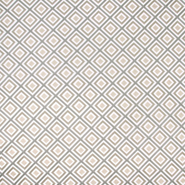 Time Will Tell Metallic by Carole Fabric Silver Fox 52% Cotton, 48% Polyester India Passes 30,000 Double Rubs Wyzenbeek Horizontal: 4625 and Vertical: 4625 51 - Fabric Carolina -