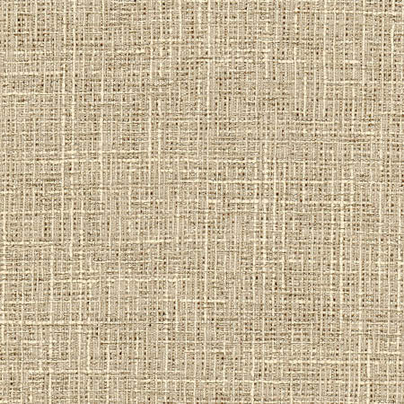 Adjuster Natural by Carole Designer Fabric Toasted Almond 62% Polyester, 32% Cotton, 6% Viscose INDIA 27,000 Wyzenbeek Double Rubs None 54" - Swanky Fabrics -